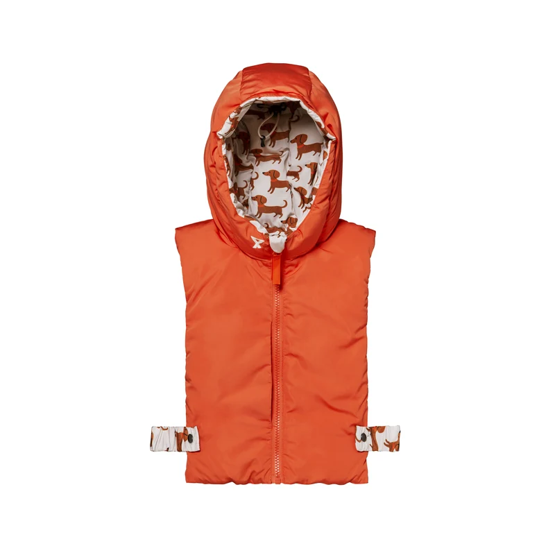 Duo enfant capuche Fudoon + moufles teckels