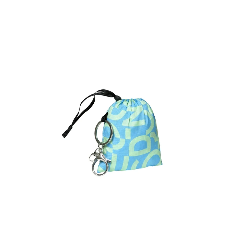 Sac porte-clés Nanobag monogramme bleu et vert