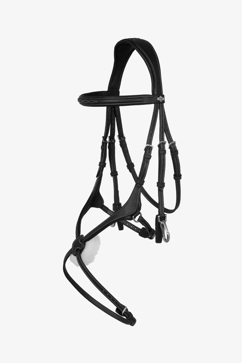Kudos bridon de travail grackle Black F