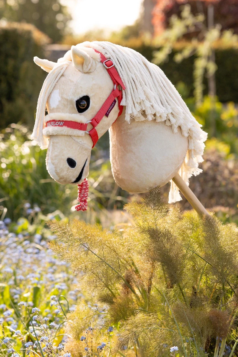 Harlow Hobby Horse licol Coral Crush Taille unique