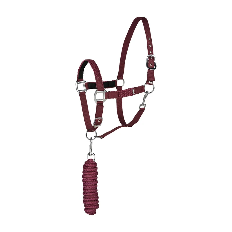 Chicago ensemble licol et longe Wine Red/ Violet Quartz Purple P
