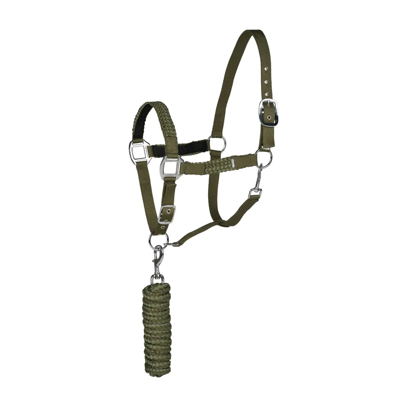 Chicago ensemble licol et longe Cyrpess Green/ Loden Green C