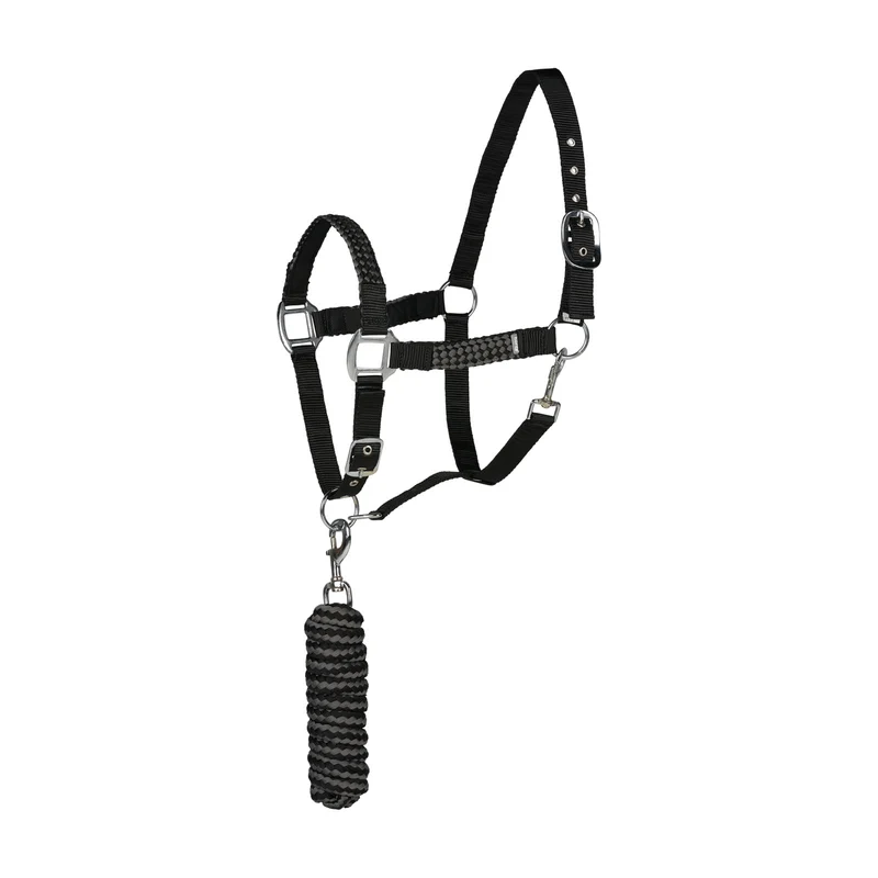 Chicago ensemble licol et longe Noir/Gris acier X-Full