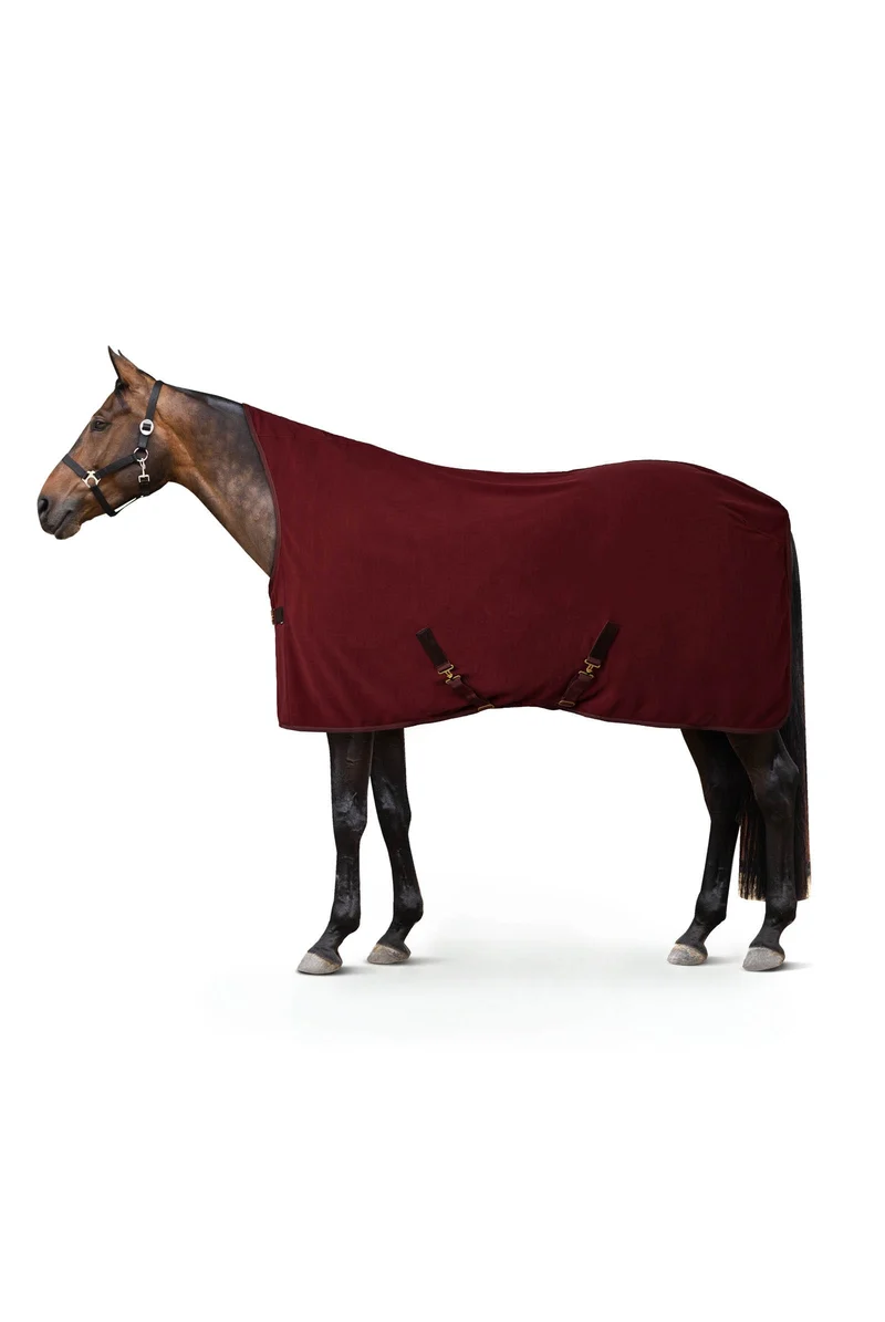 Helsinki COZY couverture polaire séchante Spiced apple 155