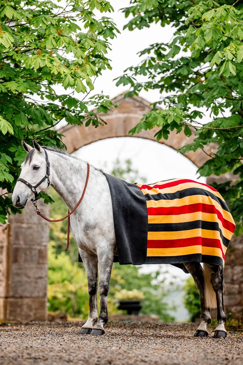 Polaire Newmarket (Carrée) Witney Gold P