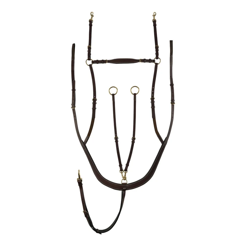 Collier de chasse Belgravia combinée avec martingale Marron foncé F