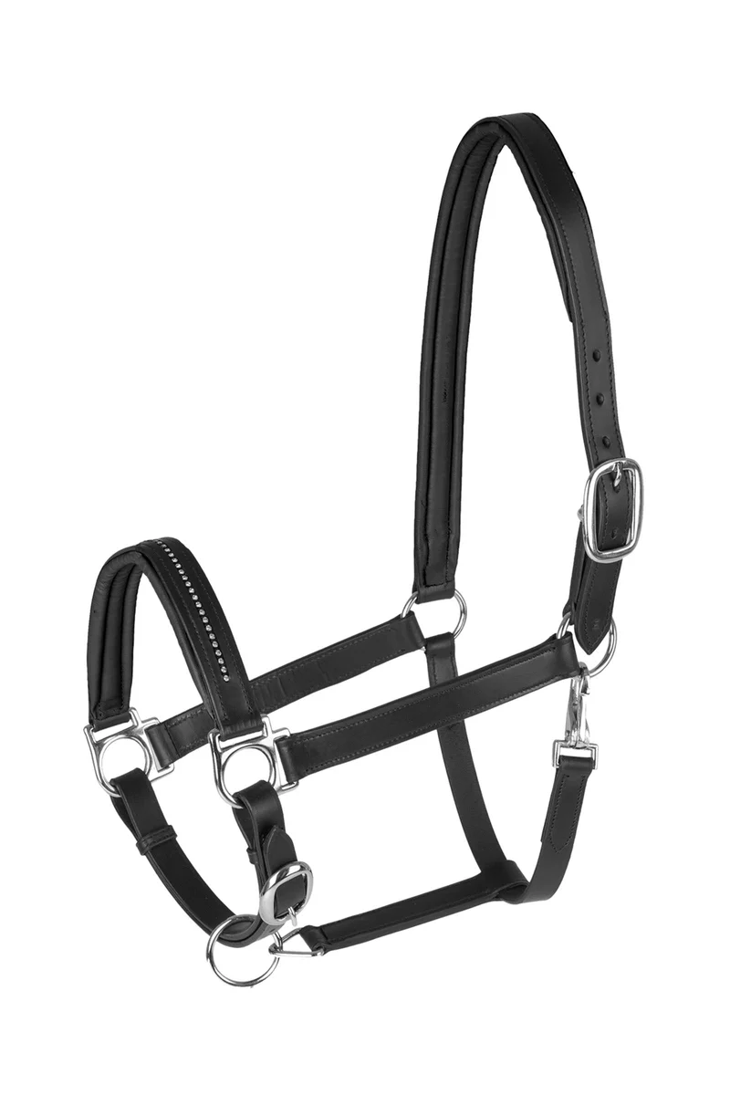 licol en cuir Diamond Black/Silver F