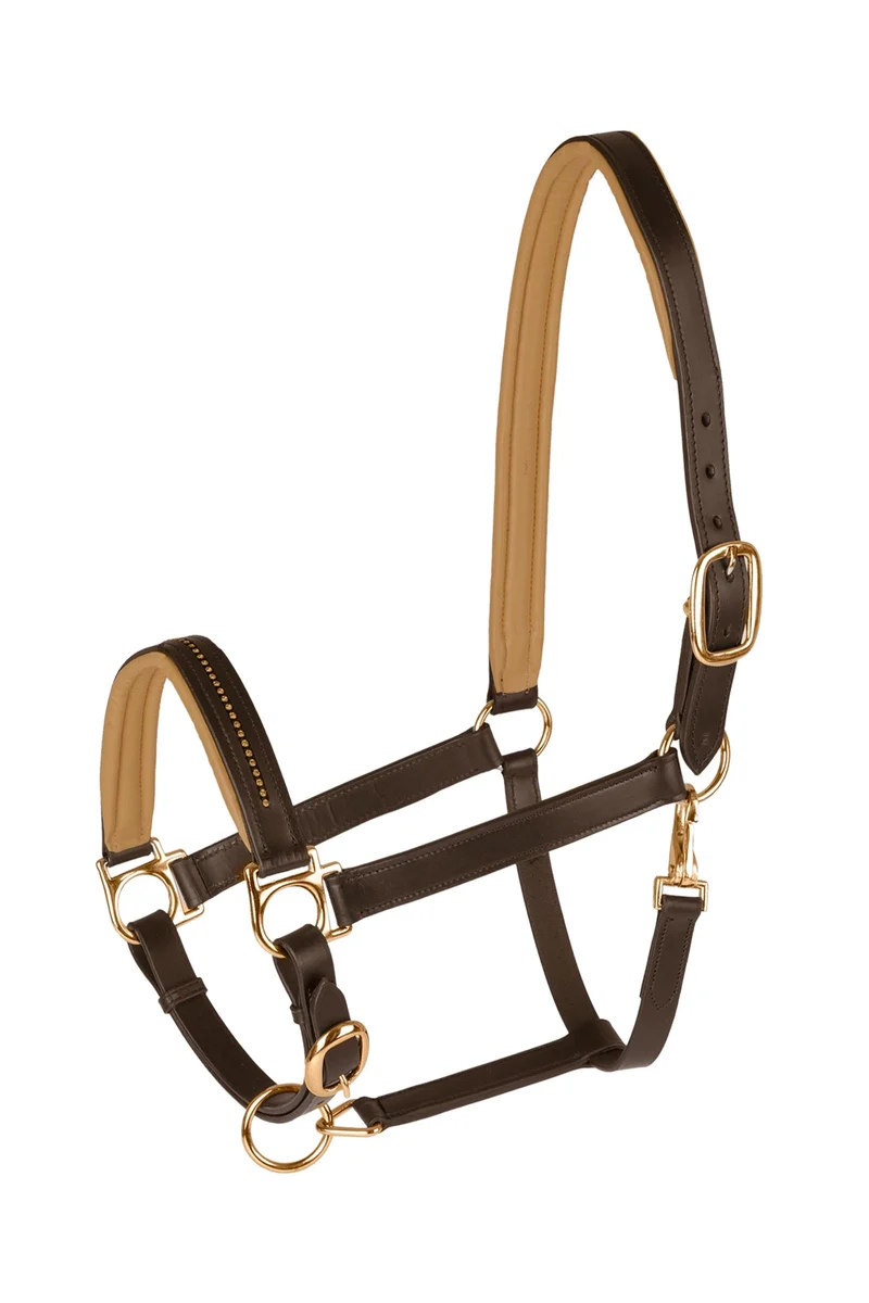 licol en cuir Diamond Brown/Gold Mini