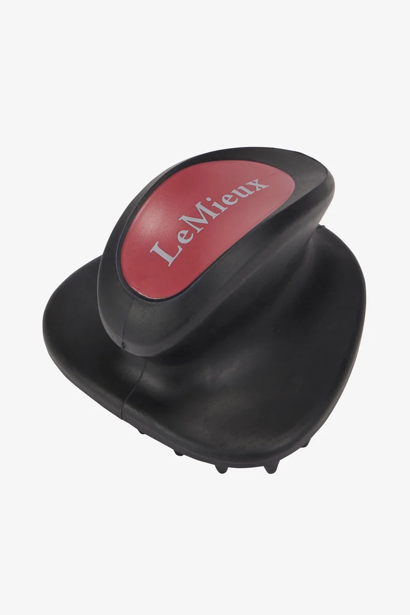 brosse de massage Black Taille unique