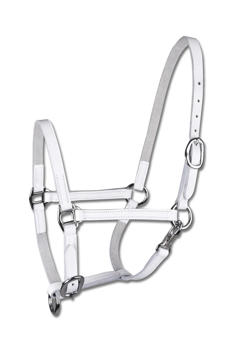 licol de présentation en cuir pour poulain White C