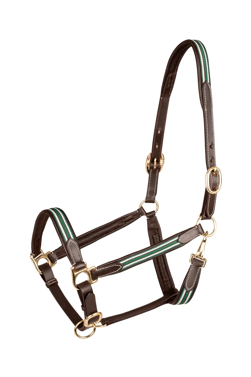 X-Line Oxford licol en cuir Brown/Green C