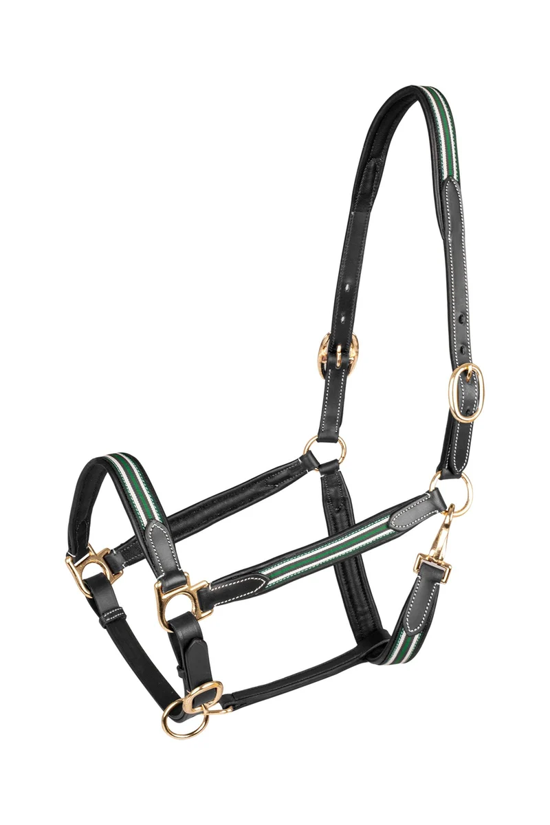 X-Line Oxford licol en cuir Black/Green C