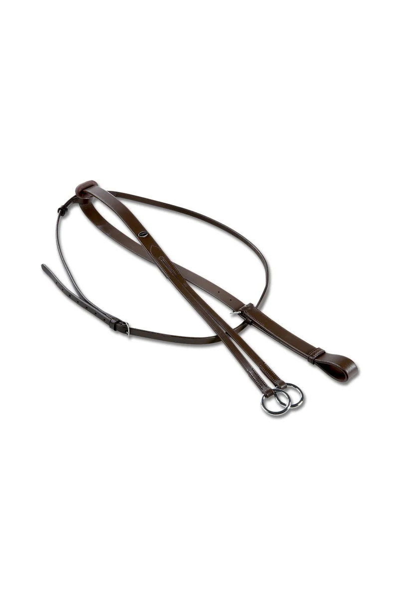 martingale Brown F