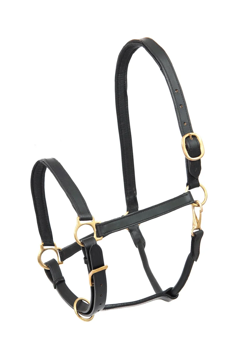 licol en cuir Robus Black C