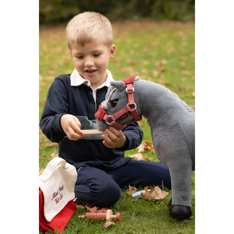 LeMieux Toy Pony Vet Set Multi