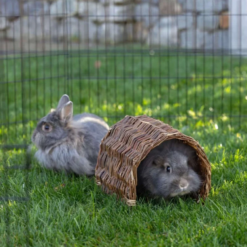 Kerbl Tunnel pour Lapin Nature