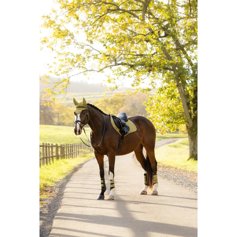 LeMieux Tapis de Selle Suede Close Contact Square de Saut Gooseberry