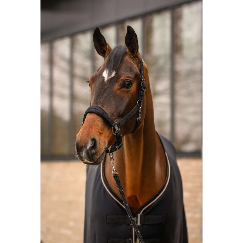Cavallo Corde pour Licol CavalRey avec Mousqueton Noir
