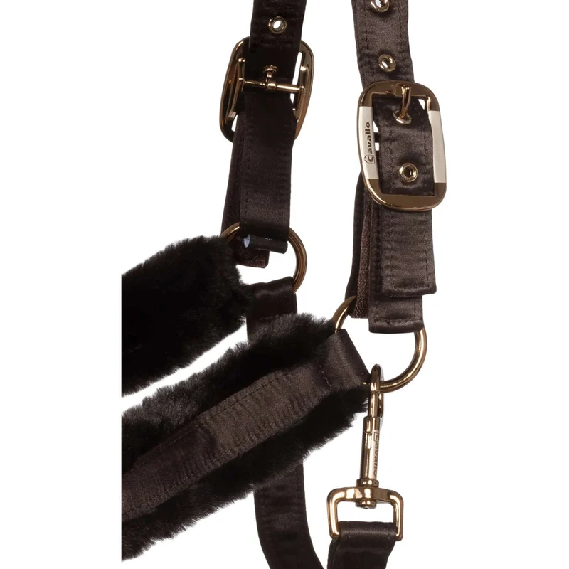 Cavallo Licol CavalJero avec Fourrure Café Noir