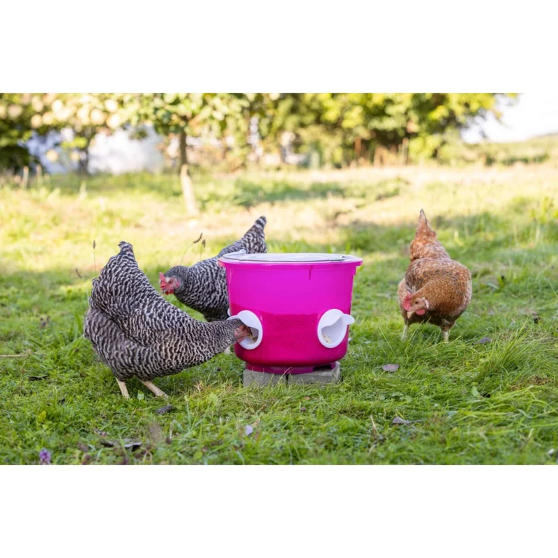 Kerbl Seau à Nourriture Poulets Rose