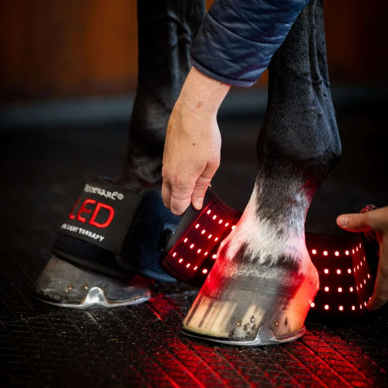 Horseware Mini Wraps LED Red Light Therapy Quad Noir/Noir