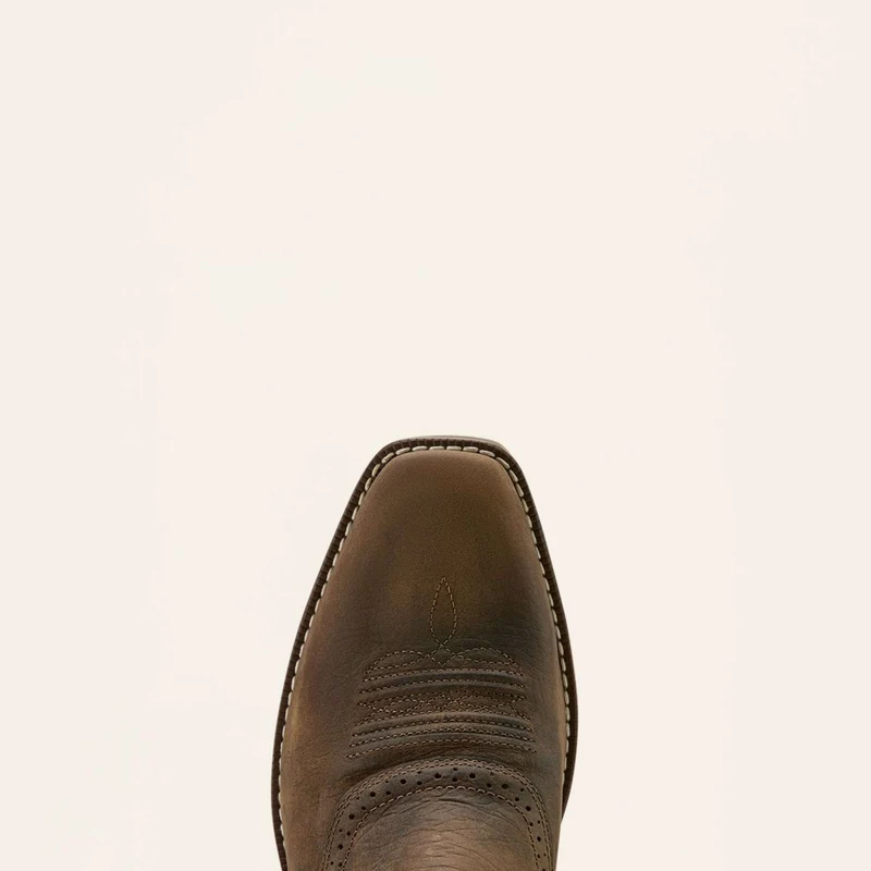 Ariat Bottes Western Hybrid Roughstock Antler Hommes Wild Taupe/Espresso
