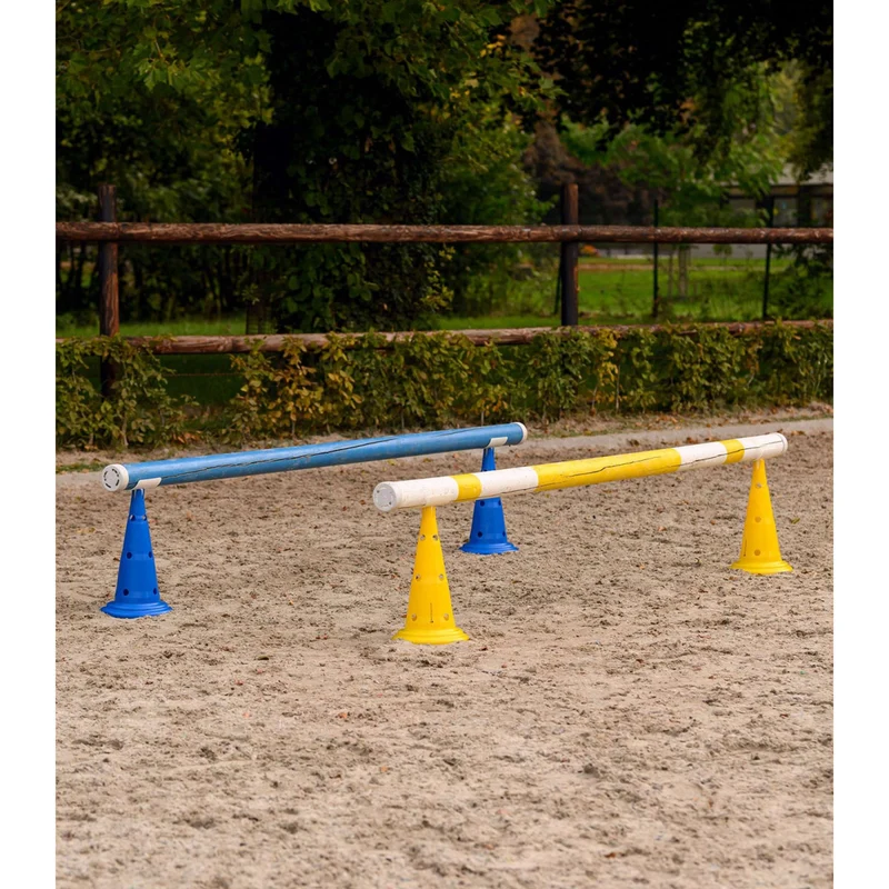 Waldhausen Pions XL Jeu de 8 Bleu/Jaune