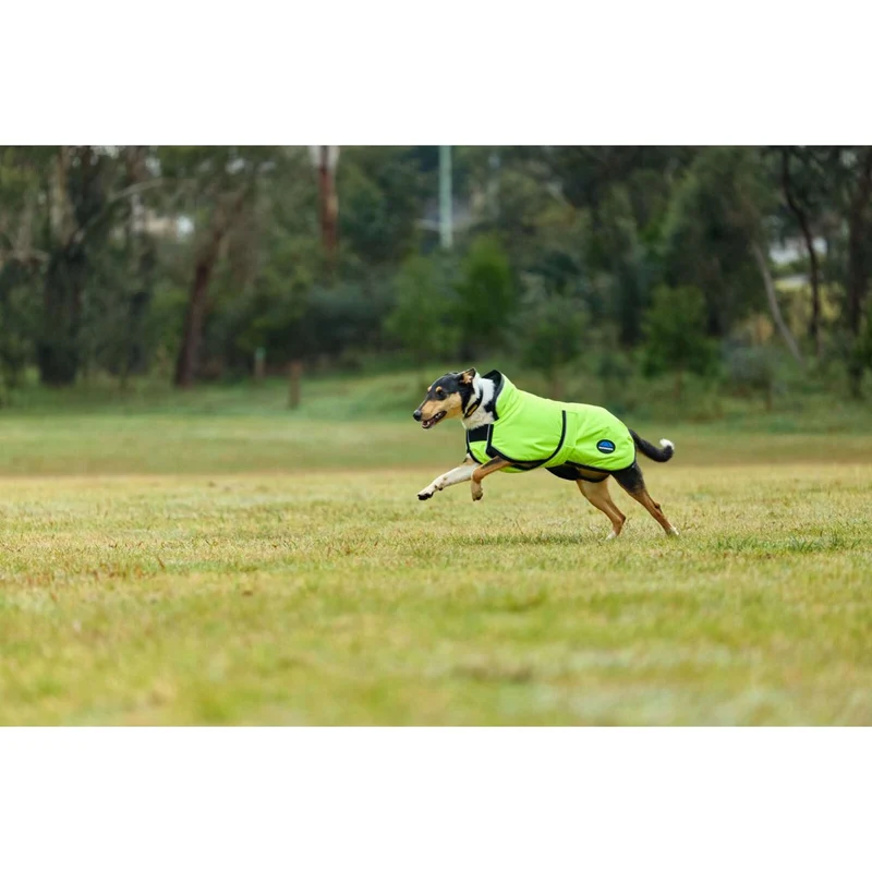 WeatherBeeta Couverture pour Chien ComFiTec Reflective 300D Deluxe Showerproof Jaune