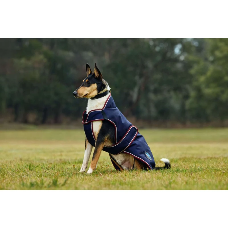 WeatherBeeta Couverture pour Chien ComFiTec Premier Deluxe Waterproof Marine/Bordeaux