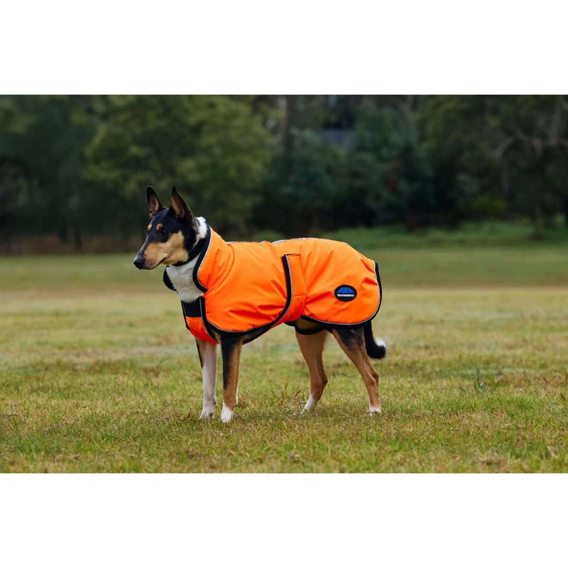 WeatherBeeta Couverture pour Chien ComFiTec Reflective 300D Deluxe Showerproof Orange