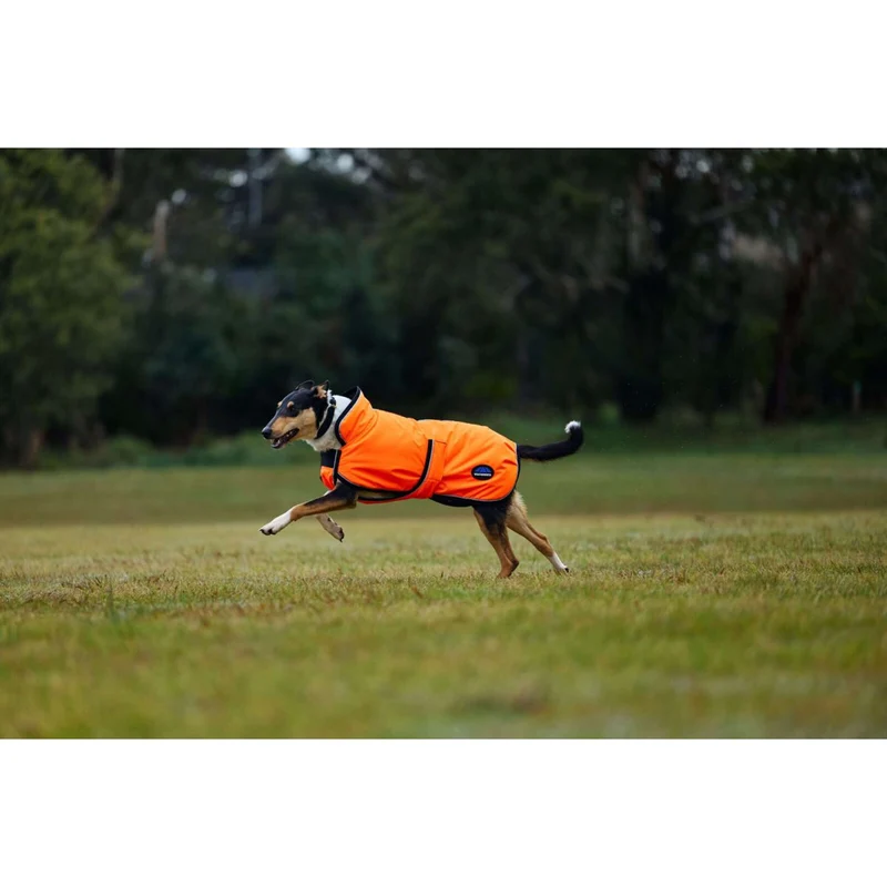 WeatherBeeta Couverture pour Chien ComFiTec Reflective 300D Deluxe Showerproof Orange