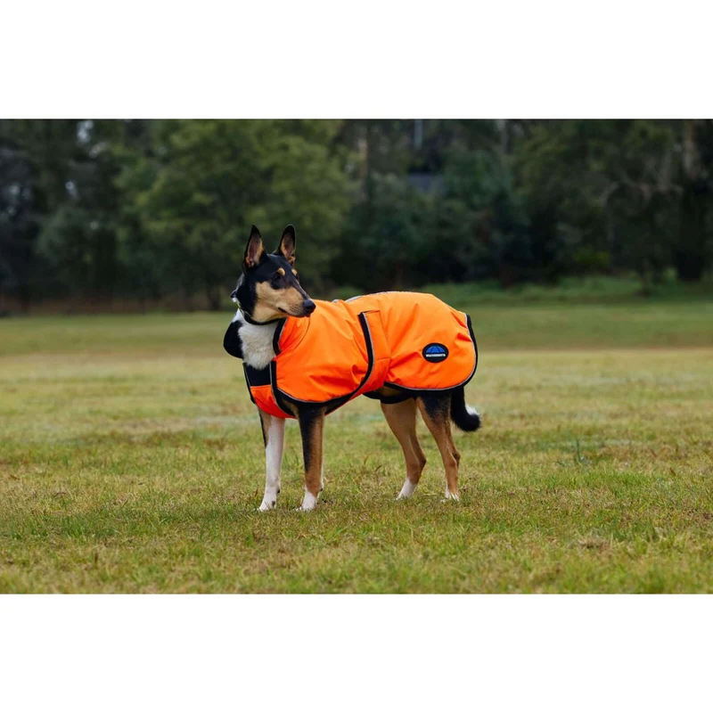 WeatherBeeta Couverture pour Chien ComFiTec Reflective 300D Deluxe Showerproof Orange