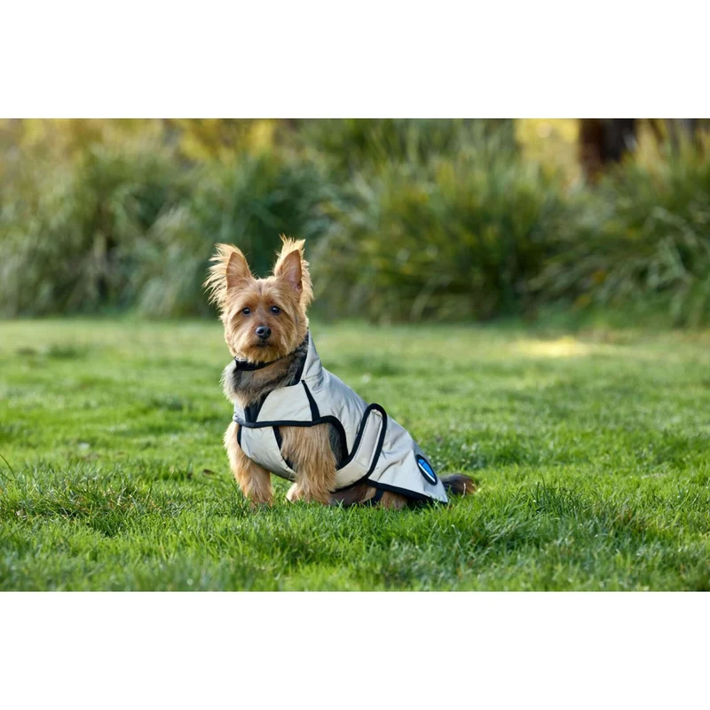 WeatherBeeta Couverture pour Chien ComFiTec Reflective Showerproof Argent