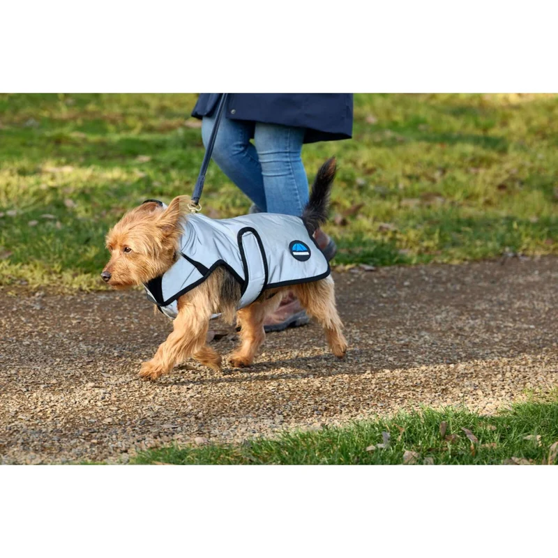 WeatherBeeta Couverture pour Chien ComFiTec Reflective Showerproof Argent