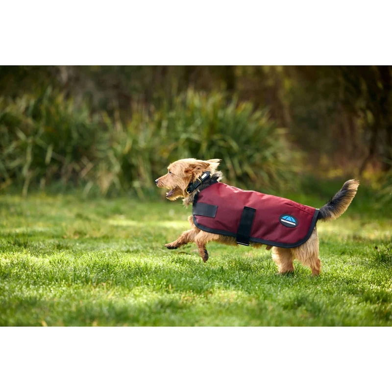 WeatherBeeta Couverture pour Chien ComFiTec Classic Waterproof Bordeaux