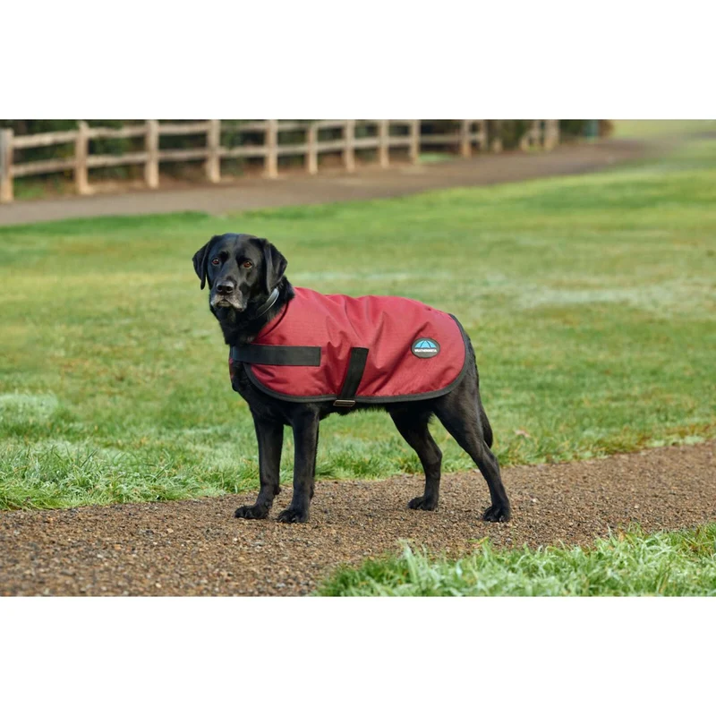 WeatherBeeta Couverture pour Chien ComFiTec Classic Waterproof Bordeaux