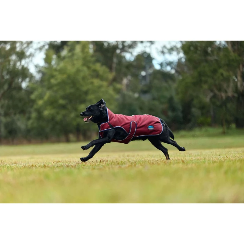 WeatherBeeta Couverture pour Chien ComFiTec Premier Deluxe Waterproof Bourgogne/Marine