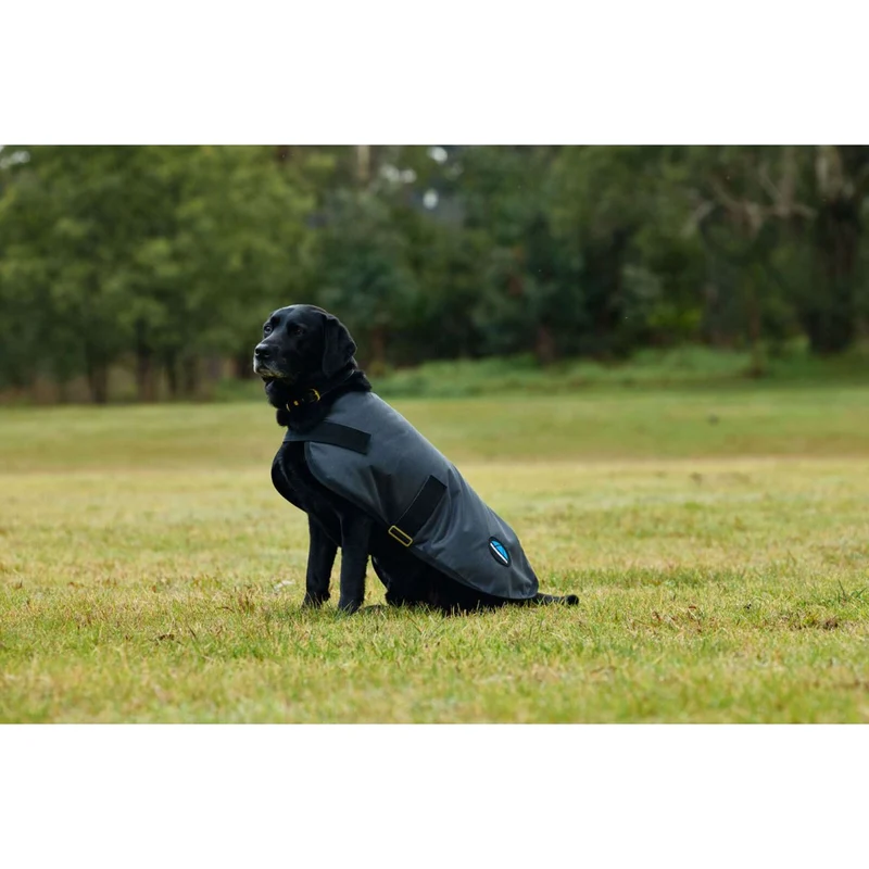 WeatherBeeta Couverture pour Chien ComFiTec Classic Waterproof Charbon