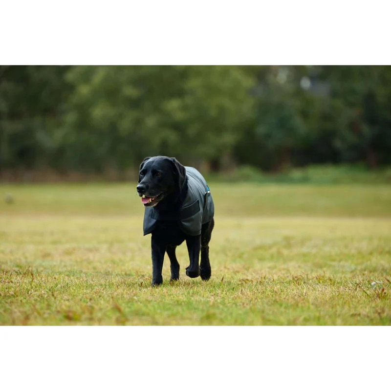 WeatherBeeta Couverture pour Chien ComFiTec Classic Waterproof Charbon