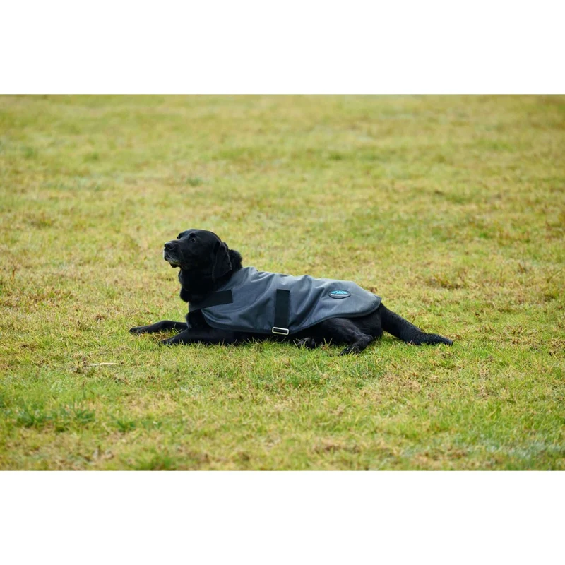 WeatherBeeta Couverture pour Chien ComFiTec Classic Waterproof Charbon