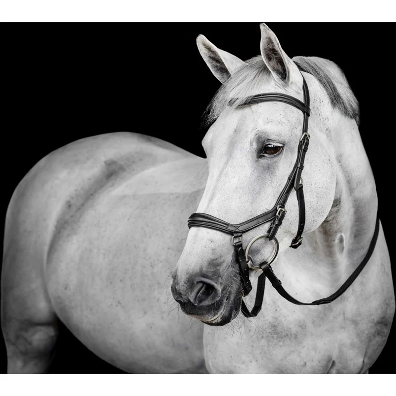 Horseware Micklem Deluxe Competition Bridle Noir