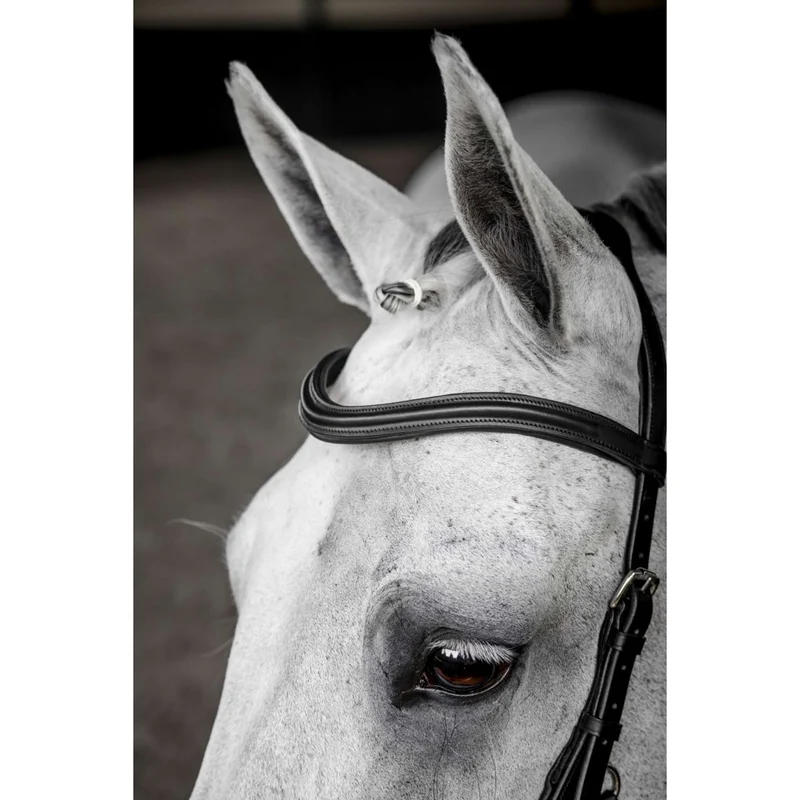 Horseware Micklem Deluxe Competition Bridle Noir