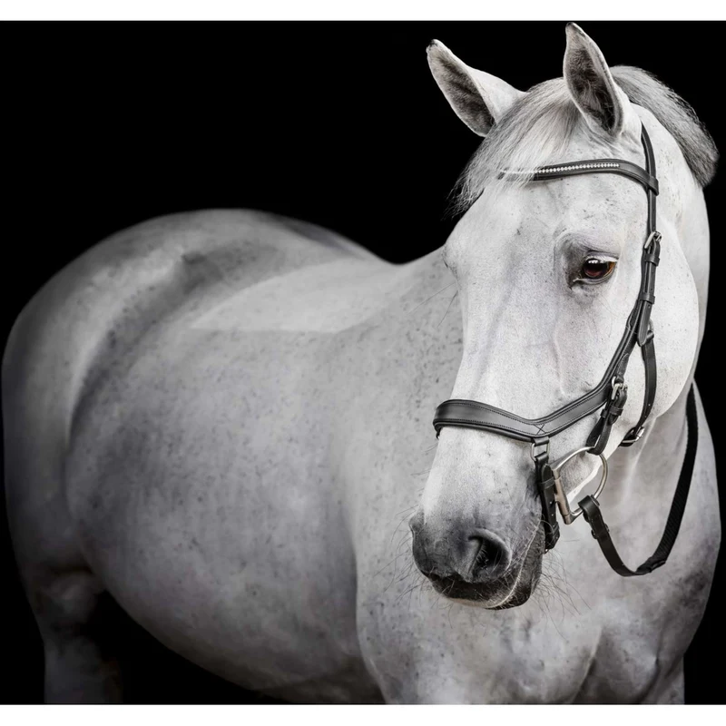 Horseware Micklem Diamante Competition Bridle Noir