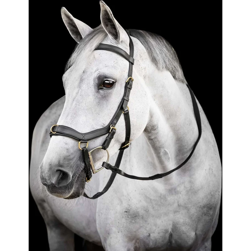 Horseware Micklem Multi Bridle Noir