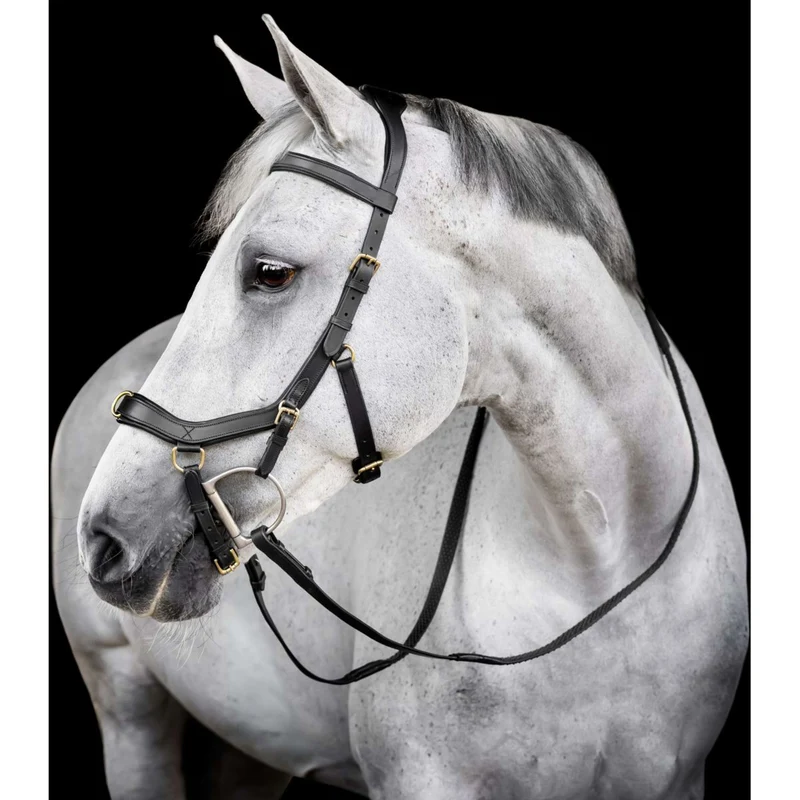 Horseware Micklem Multi Bridle Noir