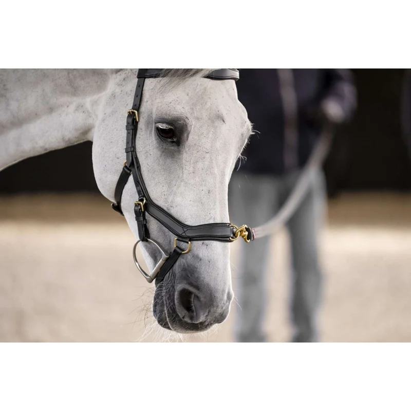 Horseware Micklem Multi Bridle Noir