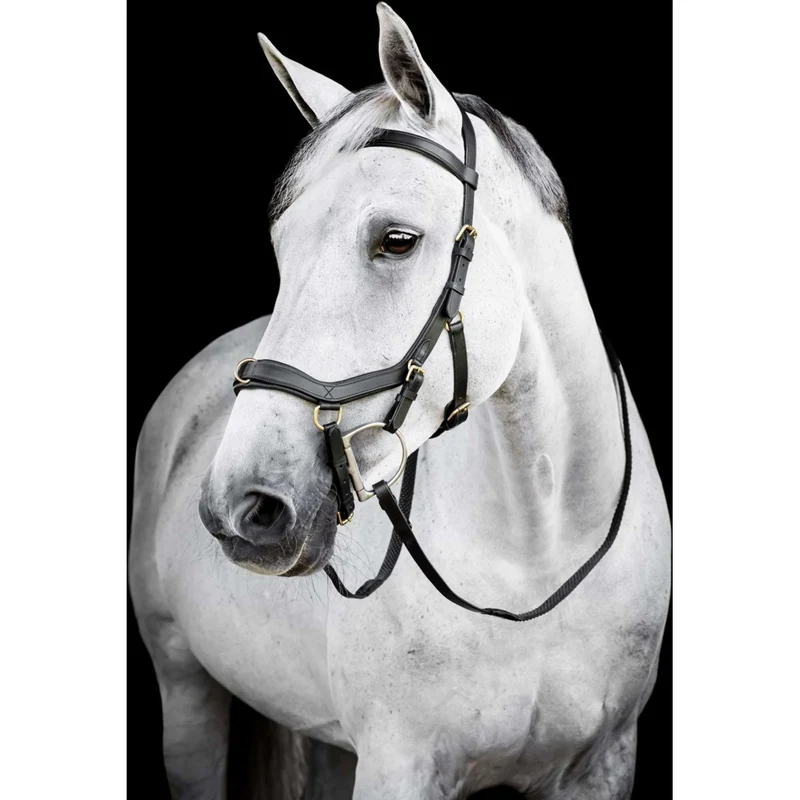 Horseware Micklem Multi Bridle Noir