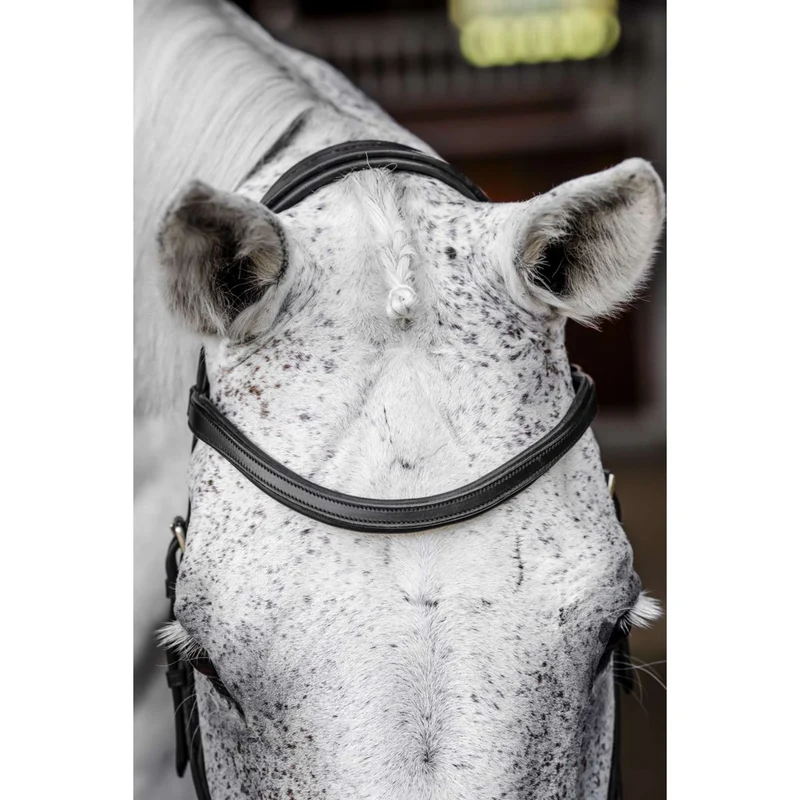 Horseware Micklem Competition Bridle Noir