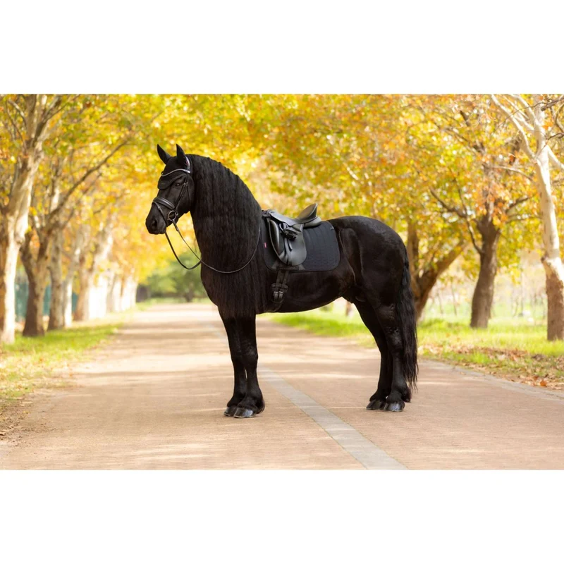 LeMieux Tapis de Selle Essence Dressage Noir
