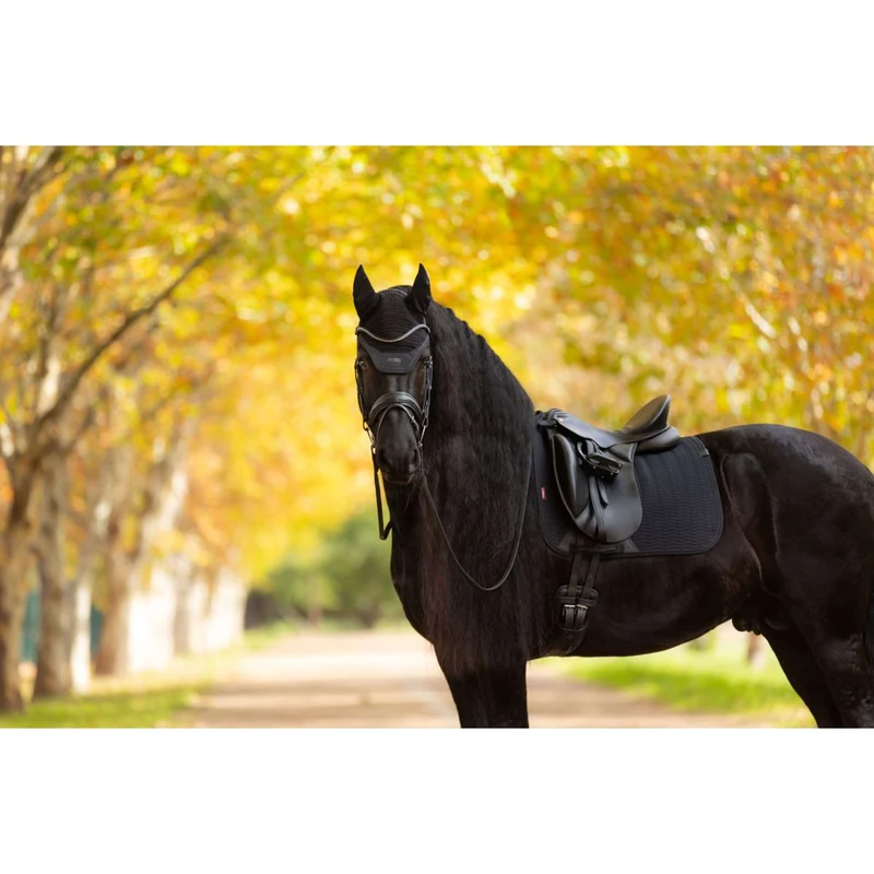 LeMieux Tapis de Selle Essence Dressage Noir
